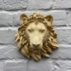 Lions Head - Image 3