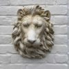 Lions Head