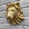 Lions Head - Image 4