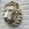 Lions Head - Image 2