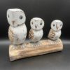 Three Barn Owls On A Log