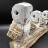 Three Barn Owls On A Log - Image 2