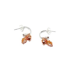 Robyn Sterling Silver Earrings