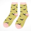 Socks - Little Sausage Dogs