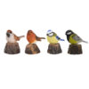Welcome Bird - Image 3