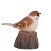 Welcome Bird - Image 2