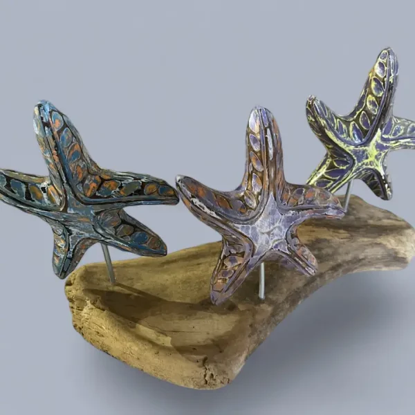 Painted Starfish