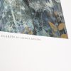 Clarity - Image 2