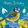 Greeting Cards - British Birds