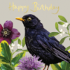 Greeting Cards - British Birds - Image 3