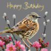 Greeting Cards - British Birds - Image 4