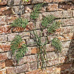FERN WALLART