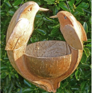 Coconut Bird Feeder - Birds