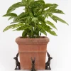 Large Sitting Hare Plant Pot Feet - Set of 3 - Image 3