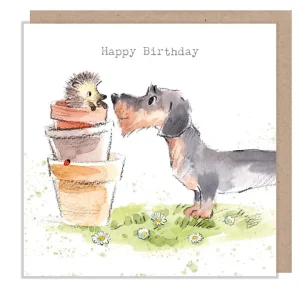 Paper Shed  Greeting cards