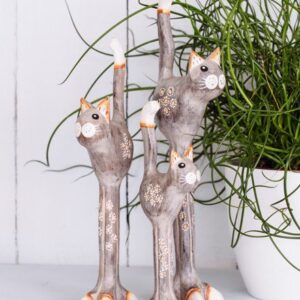 Handstanding Grey  Cats