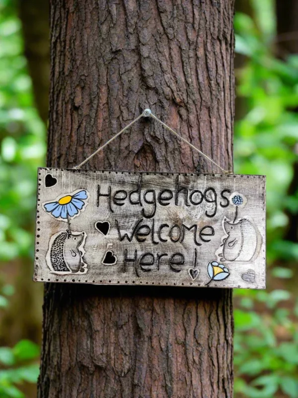 Hedgehogs Welcome Wall Plaque - Image 2