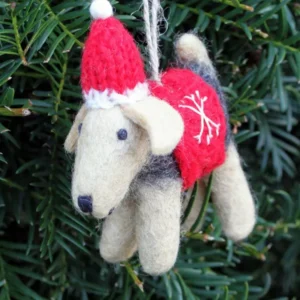 Brian The Welsh Terrier