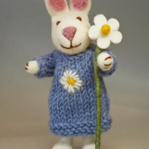 Daisy The Rabbit