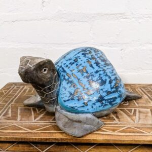 Blue Coconut Turtle